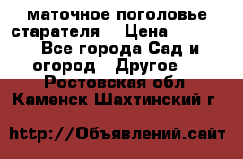 маточное поголовье старателя  › Цена ­ 3 700 - Все города Сад и огород » Другое   . Ростовская обл.,Каменск-Шахтинский г.